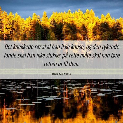 Picture 06 - Jesaja 42:3 NORSK - Det knekkede rør skal han ikke knuse, og den - Bible Verse Picture