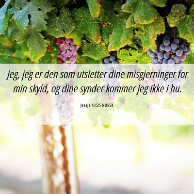 Picture 06 - Jesaja 43:25 NORSK - Jeg, jeg er den som utsletter dine misgjerninger - Bible Verse Picture