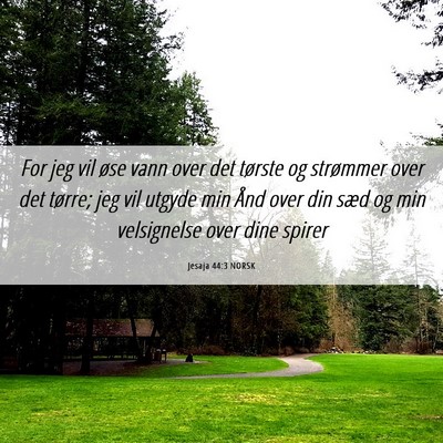 Picture 06 - Jesaja 44:3 NORSK - For jeg vil øse vann over det tørste og - Bible Verse Picture