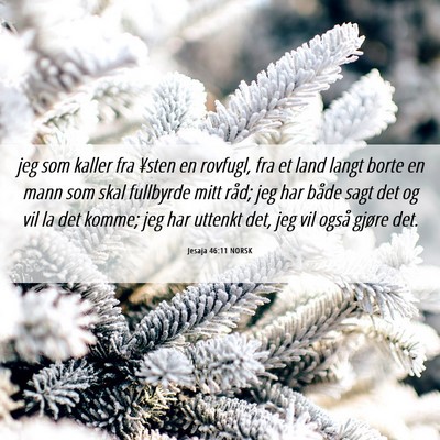 Picture 06 - Jesaja 46:11 NORSK - jeg som kaller fra ¥sten en rovfugl, fra et land - Bible Verse Picture
