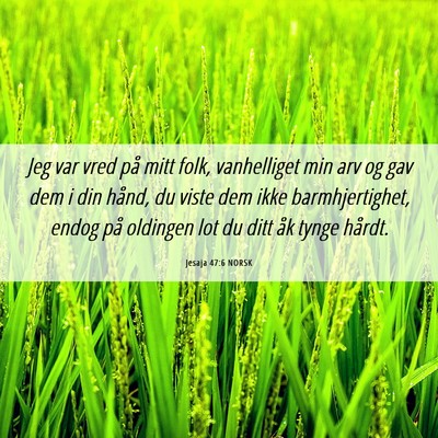 Picture 06 - Jesaja 47:6 NORSK - Jeg var vred på mitt folk, vanhelliget min arv - Bible Verse Picture