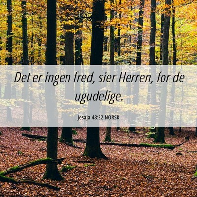 Picture 06 - Jesaja 48:22 NORSK - Det er ingen fred, sier Herren, for de - Bible Verse Picture