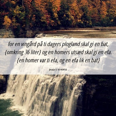 Picture 06 - Jesaja 5:10 NORSK - for en vingård på ti dagers plogland skal gi en - Bible Verse Picture