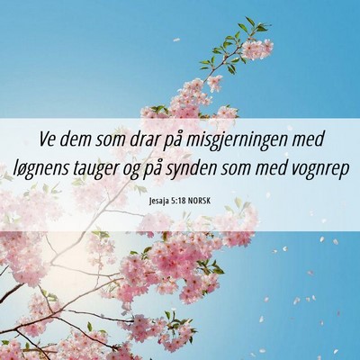 Picture 06 - Jesaja 5:18 NORSK - Ve dem som drar på misgjerningen med løgnens - Bible Verse Picture