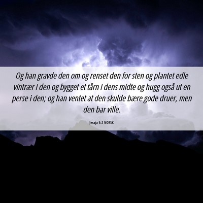 Picture 06 - Jesaja 5:2 NORSK - Og han gravde den om og renset den for sten og - Bible Verse Picture
