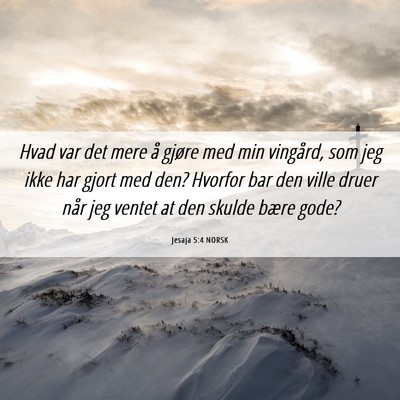 Picture 06 - Jesaja 5:4 NORSK - Hvad var det mere å gjøre med min vingård, som - Bible Verse Picture