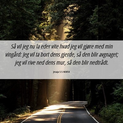 Picture 06 - Jesaja 5:5 NORSK - Så vil jeg nu la eder vite hvad jeg vil gjøre - Bible Verse Picture