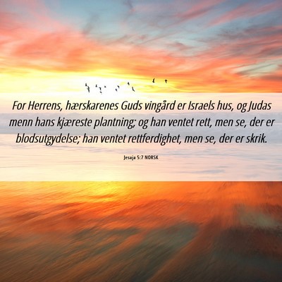 Picture 06 - Jesaja 5:7 NORSK - For Herrens, hærskarenes Guds vingård er - Bible Verse Picture