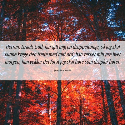 Picture 06 - Jesaja 50:4 NORSK - Herren, Israels Gud, har gitt mig en - Bible Verse Picture