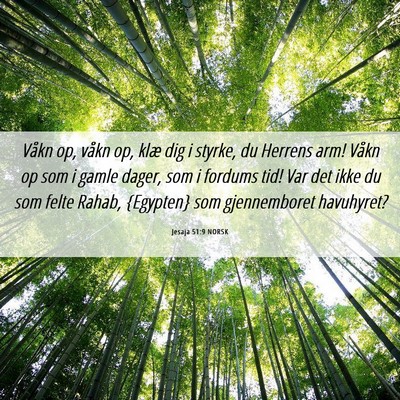 Picture 06 - Jesaja 51:9 NORSK - Våkn op, våkn op, klæ dig i styrke, du Herrens - Bible Verse Picture