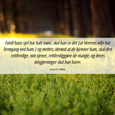 Picture 06 - Jesaja 53:11 NORSK - Fordi hans sjel har hatt møie, skal han se det - Bible Verse Picture