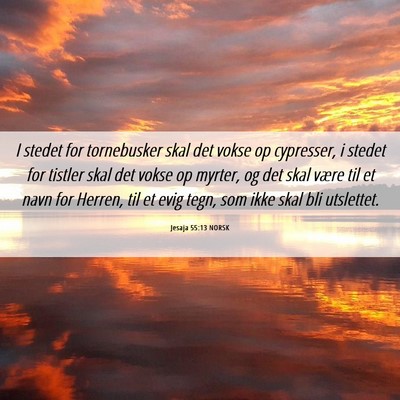 Picture 06 - Jesaja 55:13 NORSK - I stedet for tornebusker skal det vokse op - Bible Verse Picture