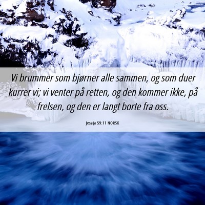 Picture 06 - Jesaja 59:11 NORSK - Vi brummer som bjørner alle sammen, og som duer - Bible Verse Picture