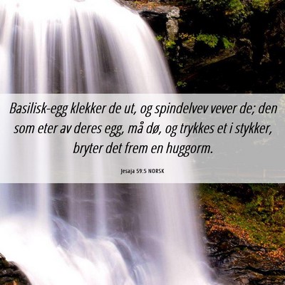 Picture 06 - Jesaja 59:5 NORSK - Basilisk-egg klekker de ut, og spindelvev vever - Bible Verse Picture