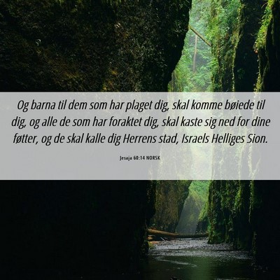 Picture 06 - Jesaja 60:14 NORSK - Og barna til dem som har plaget dig, skal komme - Bible Verse Picture