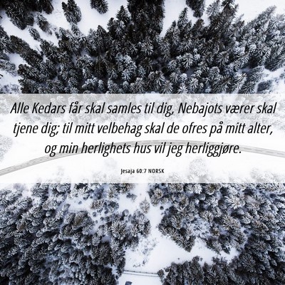 Picture 06 - Jesaja 60:7 NORSK - Alle Kedars får skal samles til dig, Nebajots - Bible Verse Picture