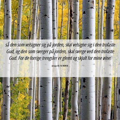 Picture 06 - Jesaja 65:16 NORSK - så den som velsigner sig på jorden, skal - Bible Verse Picture