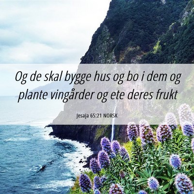 Picture 06 - Jesaja 65:21 NORSK - Og de skal bygge hus og bo i dem og plante - Bible Verse Picture