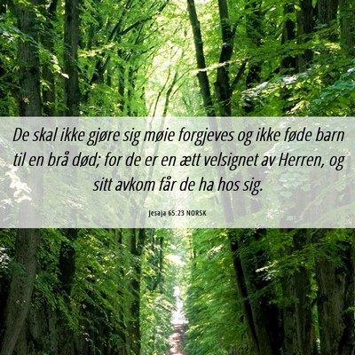 Picture 06 - Jesaja 65:23 NORSK - De skal ikke gjøre sig møie forgjeves og ikke - Bible Verse Picture