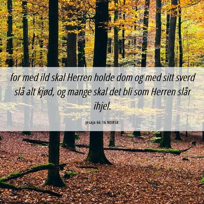 Picture 06 - Jesaja 66:16 NORSK - for med ild skal Herren holde dom og med sitt - Bible Verse Picture