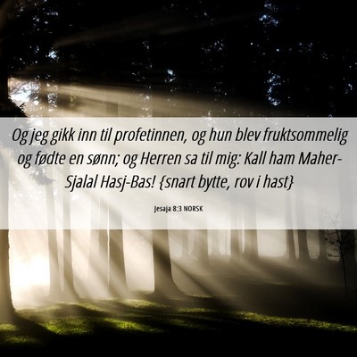 Picture 06 - Jesaja 8:3 NORSK - Og jeg gikk inn til profetinnen, og hun blev - Bible Verse Picture
