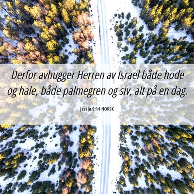 Picture 06 - Jesaja 9:14 NORSK - Derfor avhugger Herren av Israel både hode og - Bible Verse Picture