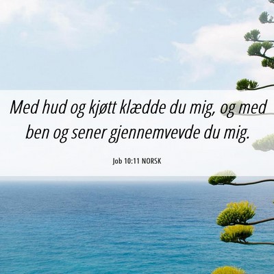 Picture 06 - Job 10:11 NORSK - Med hud og kjøtt klædde du mig, og med ben og - Bible Verse Picture