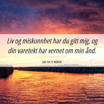 Picture 06 - Job 10:12 NORSK - Liv og miskunnhet har du gitt mig, og din - Bible Verse Picture