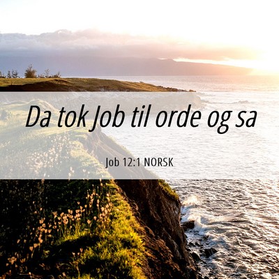 Picture 06 - Job 12:1 NORSK - Da tok Job til orde og - Bible Verse Picture