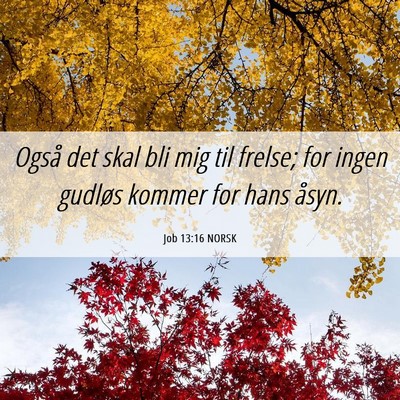 Picture 06 - Job 13:16 NORSK - Også det skal bli mig til frelse; for ingen - Bible Verse Picture