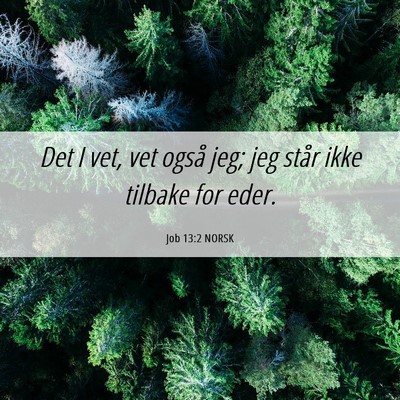 Picture 06 - Job 13:2 NORSK - Det I vet, vet også jeg; jeg står ikke tilbake - Bible Verse Picture