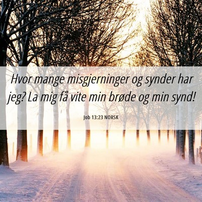 Picture 06 - Job 13:23 NORSK - Hvor mange misgjerninger og synder har jeg? La - Bible Verse Picture