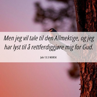 Picture 06 - Job 13:3 NORSK - Men jeg vil tale til den Allmektige, og jeg har - Bible Verse Picture