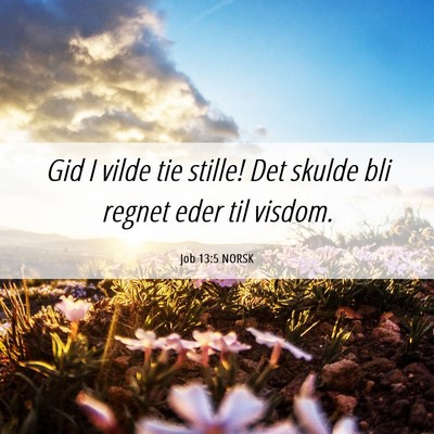 Picture 06 - Job 13:5 NORSK - Gid I vilde tie stille! Det skulde bli regnet - Bible Verse Picture