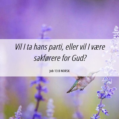 Picture 06 - Job 13:8 NORSK - Vil I ta hans parti, eller vil I være sakførere - Bible Verse Picture