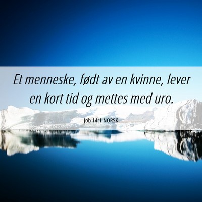 Picture 06 - Job 14:1 NORSK - Et menneske, født av en kvinne, lever en kort - Bible Verse Picture