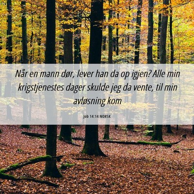 Picture 06 - Job 14:14 NORSK - Når en mann dør, lever han da op igjen? Alle - Bible Verse Picture