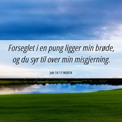 Picture 06 - Job 14:17 NORSK - Forseglet i en pung ligger min brøde, og du syr - Bible Verse Picture