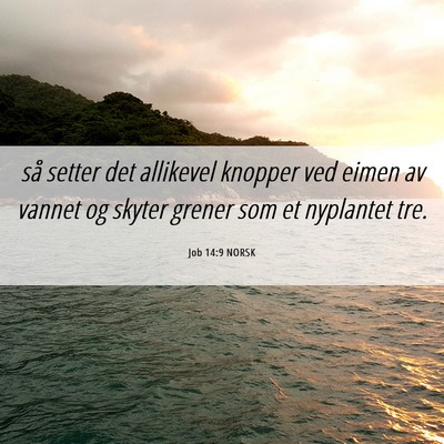 Picture 06 - Job 14:9 NORSK - så setter det allikevel knopper ved eimen av - Bible Verse Picture