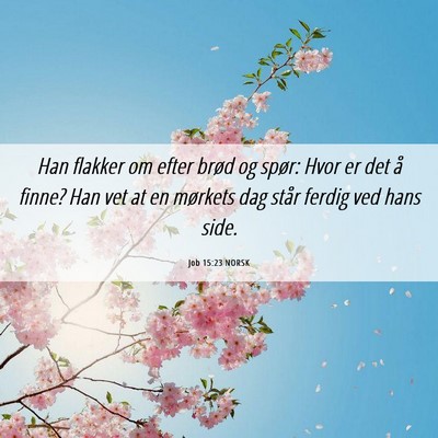Picture 06 - Job 15:23 NORSK - Han flakker om efter brød og spør: Hvor er det - Bible Verse Picture