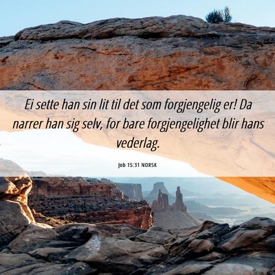 Picture 06 - Job 15:31 NORSK - Ei sette han sin lit til det som forgjengelig er! - Bible Verse Picture