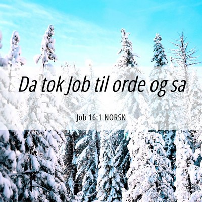Picture 06 - Job 16:1 NORSK - Da tok Job til orde og - Bible Verse Picture