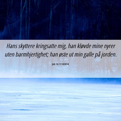 Picture 06 - Job 16:13 NORSK - Hans skyttere kringsatte mig, han kløvde mine - Bible Verse Picture