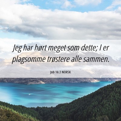 Picture 06 - Job 16:2 NORSK - Jeg har hørt meget som dette; I er plagsomme - Bible Verse Picture