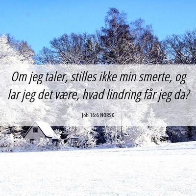 Picture 06 - Job 16:6 NORSK - Om jeg taler, stilles ikke min smerte, og lar jeg - Bible Verse Picture
