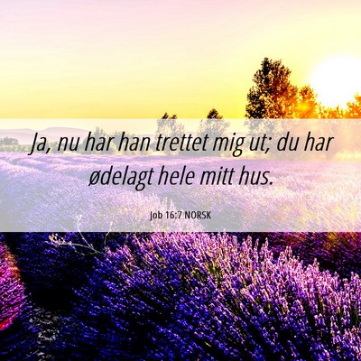 Picture 06 - Job 16:7 NORSK - Ja, nu har han trettet mig ut; du har ødelagt - Bible Verse Picture