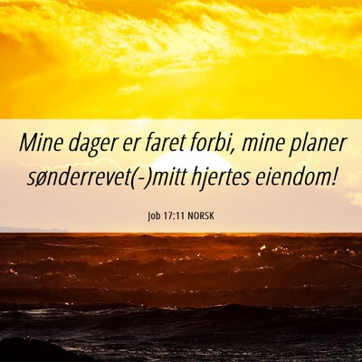 Picture 06 - Job 17:11 NORSK - Mine dager er faret forbi, mine planer - Bible Verse Picture