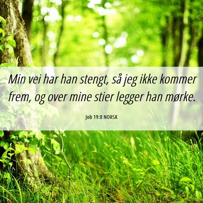 Picture 06 - Job 19:8 NORSK - Min vei har han stengt, så jeg ikke kommer frem, - Bible Verse Picture