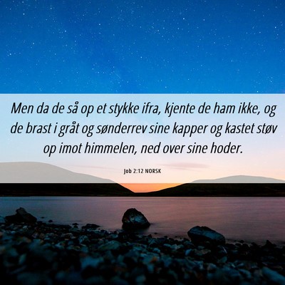 Picture 06 - Job 2:12 NORSK - Men da de så op et stykke ifra, kjente de ham - Bible Verse Picture