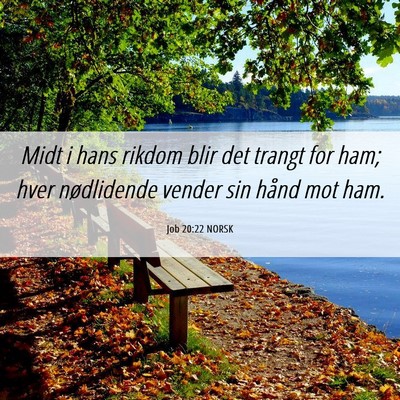 Picture 06 - Job 20:22 NORSK - Midt i hans rikdom blir det trangt for ham; hver - Bible Verse Picture